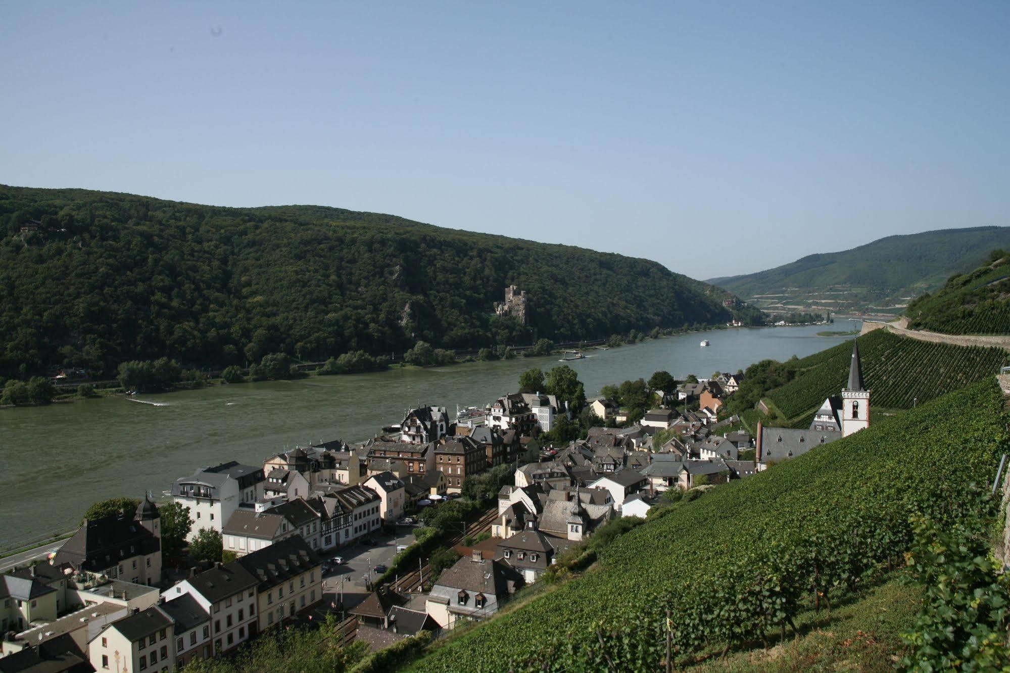 Rheinhotel Lamm Ruedesheim am Rhein Exterior photo